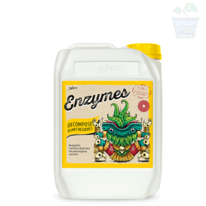 Enzymes 5L - Supliment enzimatic