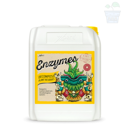 Enzymes 10L - Supliment enzimatic