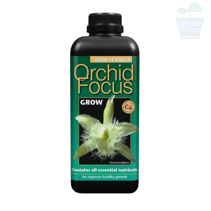 Orchid Focus - Îngrășământ pentru creșterea orhideelor 300 ml