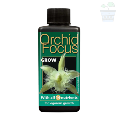 Orchid Focus Grow 1L. - Îngrășământ pentru creșterea orhideelor