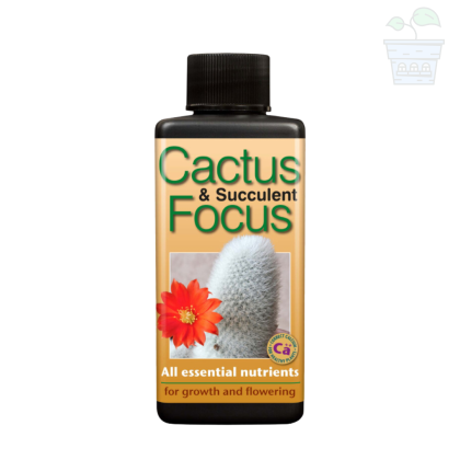 Cactus Focus - Îngrășământ pentru Cactus 300 ml