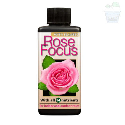 Rose Focus - Fertilizer for Roses 300 ml