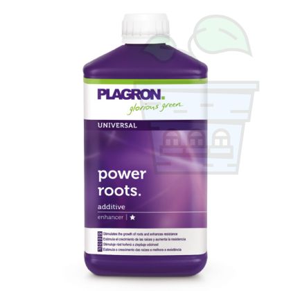 Power Roots 1L.