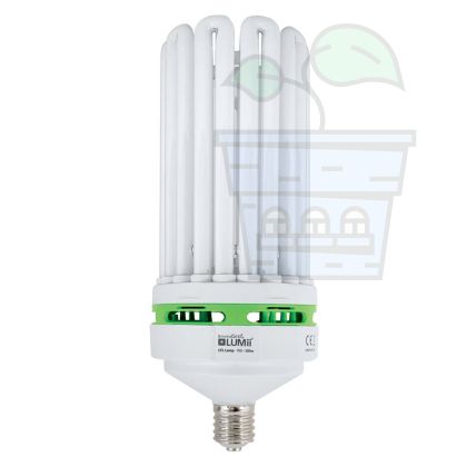 300w LUMii CFL Cool White Lamp 6400K