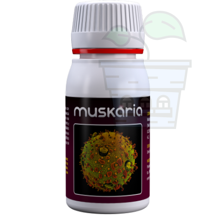 Muskaria 60ml