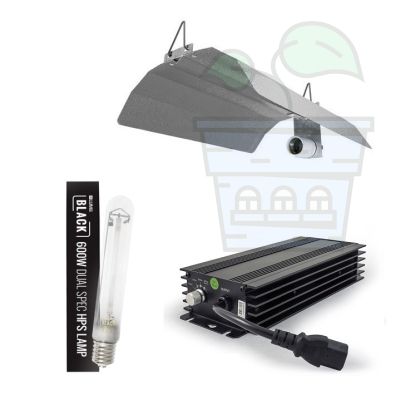 LUMii Black 600W Set